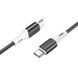 Дата кабель Borofone BX79 Type-C to Type-C 60W (1m) 57079 фото 2